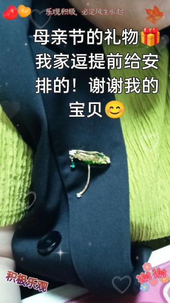 梦到胸针是什么意思_梦见胸针预示什么