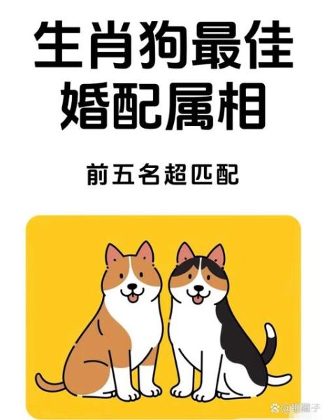 属狗和属狗的婚姻怎么样_双狗属相配对好吗