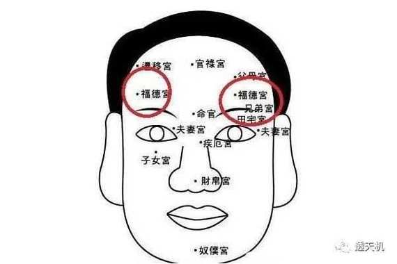 偏财运面相2018_怎么看