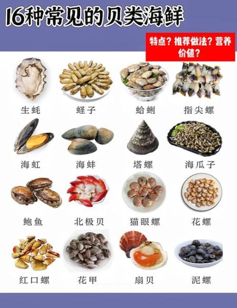 梦到很多海鲜是什么意思_海鲜梦境解析