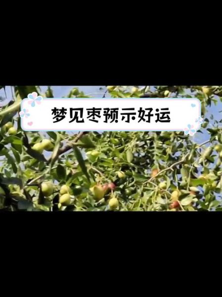 梦到吃枣子是什么意思_梦见吃枣子预示什么
