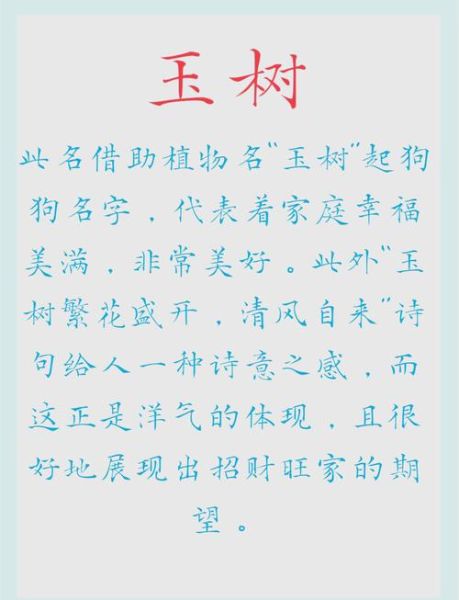 带来财运的狗名字有哪些_如何给狗狗起招财名