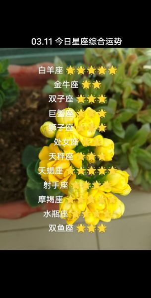 今日白羊座运势_白羊座今天适合做什么