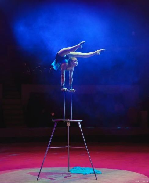 梦到杂技表演是什么意思_梦见看杂技预示什么