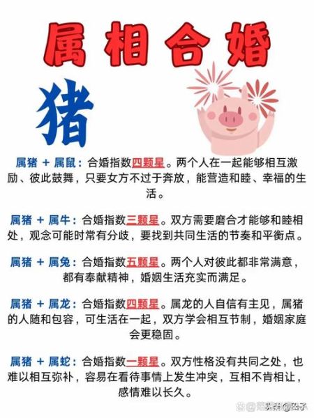 属猪女和什么属相相冲_属猪女相冲属相怎么化解