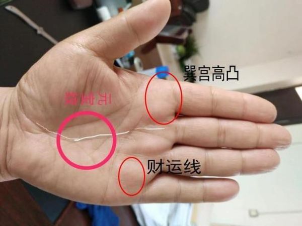 财运线斜直代表什么_财运线斜直好不好