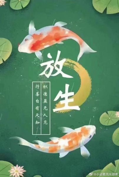 放生求财运真的有用吗_放生求财运的正确方法