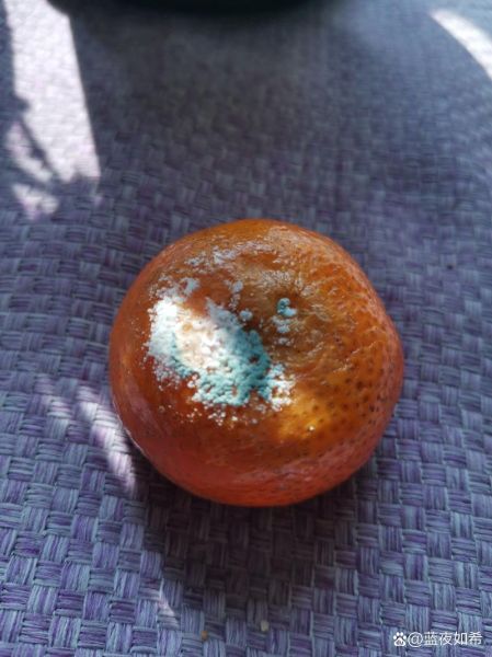 梦到烂橘子是什么意思_烂橘子梦境解析
