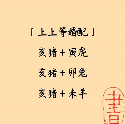 猪相合的属相有哪些_属猪最佳婚配生肖