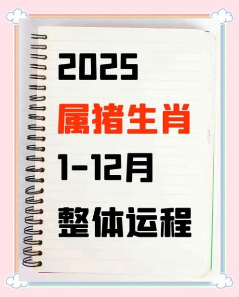 猪年财运如何提升_属猪人2025年偏财运好吗