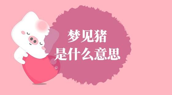 梦到捡到猪是什么意思_梦到捡到猪预示什么