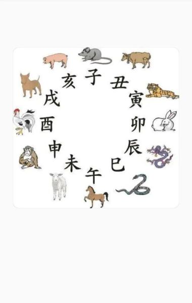 属龙贵人属相是什么_属龙三合六合生肖有哪些
