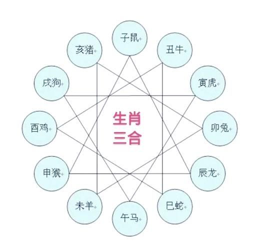 狗和什么属相相冲_属狗三合六合贵人