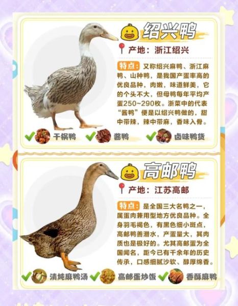 梦到鸭肉是什么意思_鸭肉梦境解析