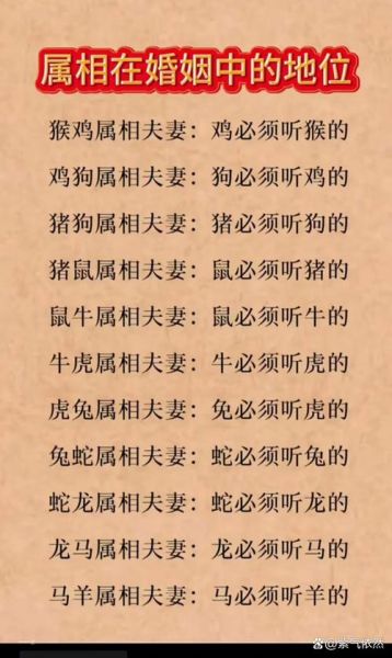 猪不能配的属相有哪些_属猪最忌婚配生肖