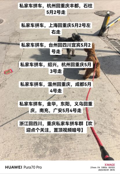 梦到拼车是什么意思_梦见和别人拼车预示什么