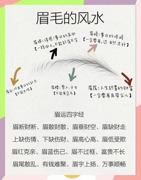眉毛财运多_眉毛真的能带来财富吗