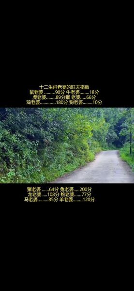 属相老婆分数_哪个生肖最旺夫
