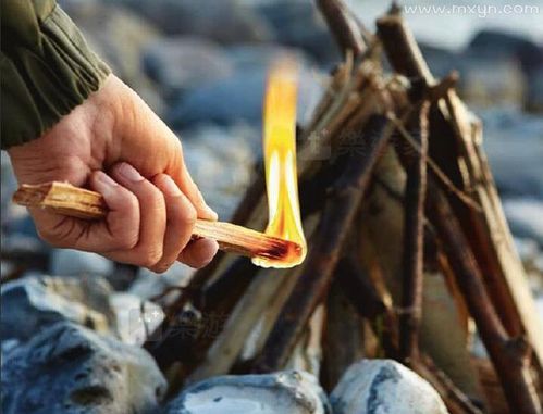 梦到柴是什么意思_梦见柴火代表什么