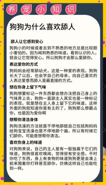 梦到被狗舔是什么意思_被狗舔梦境解析