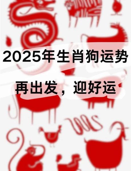 属狗人2024年运势如何_属狗人2024年财运怎么样