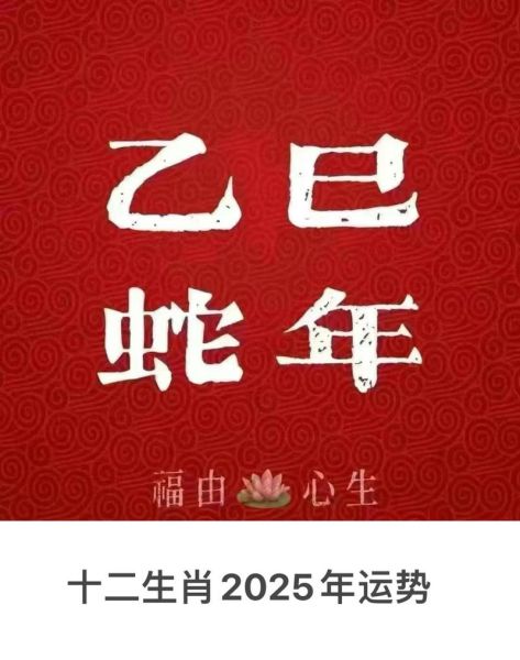 属蛇男2018运势如何_属蛇男2018年财运怎么样