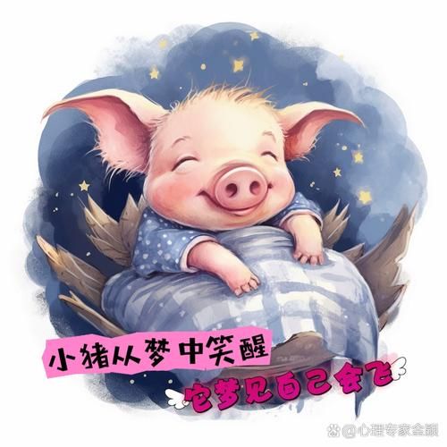 女人梦到一群小猪仔_周公解梦