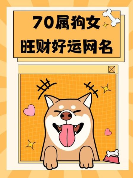 女马男狗财运_女马男狗能合财吗