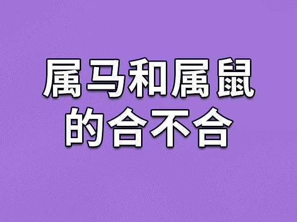 马和鼠相配财运如何_马鼠合财吗