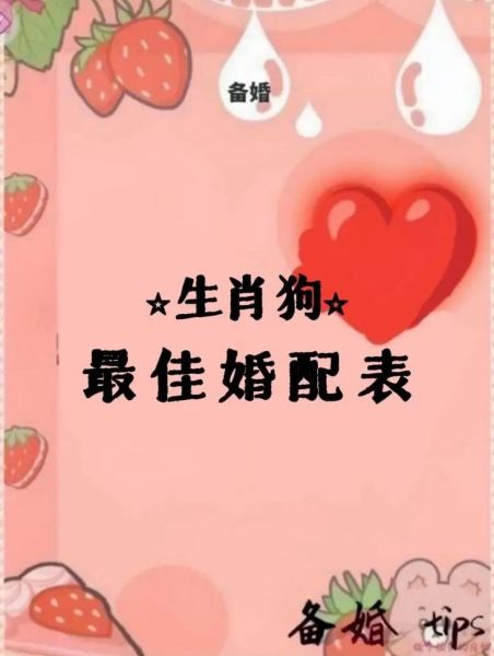 属狗和属狗的婚姻如何_属狗配狗能长久吗