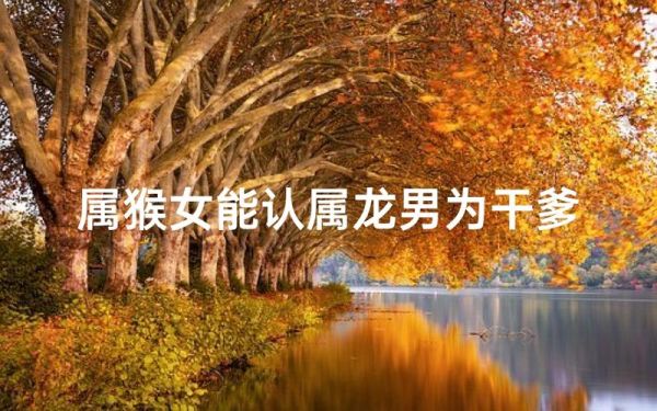 猴宝宝拜什么属相干爹_属猴认干爹最佳属相