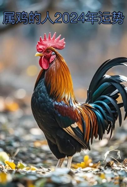 生肖鸡2024年财运如何_属鸡人偏财运旺不旺