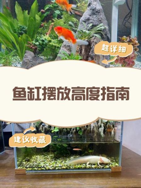 养鱼助财运_鱼缸风水布局怎么做