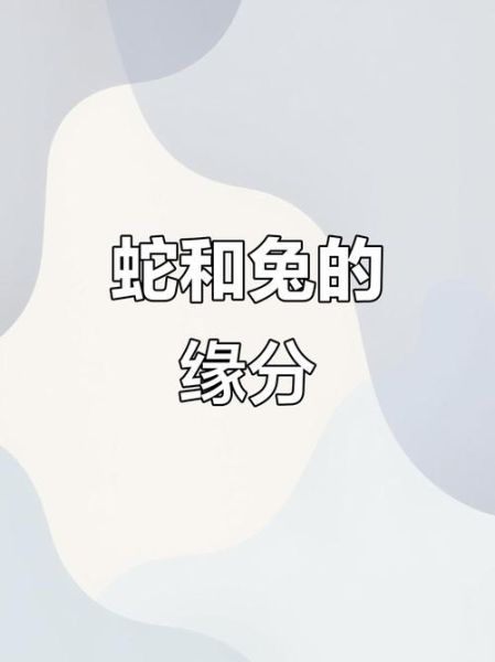 蛇跟兔子属相合不合_蛇兔配对能长久吗