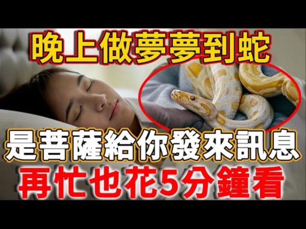 梦到蛇死了是什么意思_蛇死了预示什么