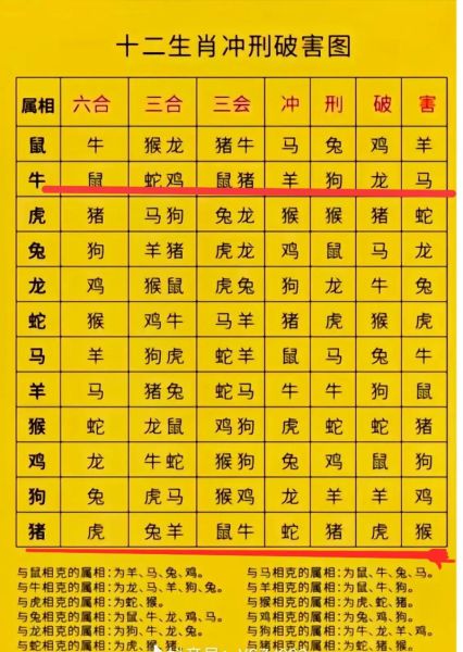 属牛和属兔的婚姻相配吗_牛兔配对优缺点