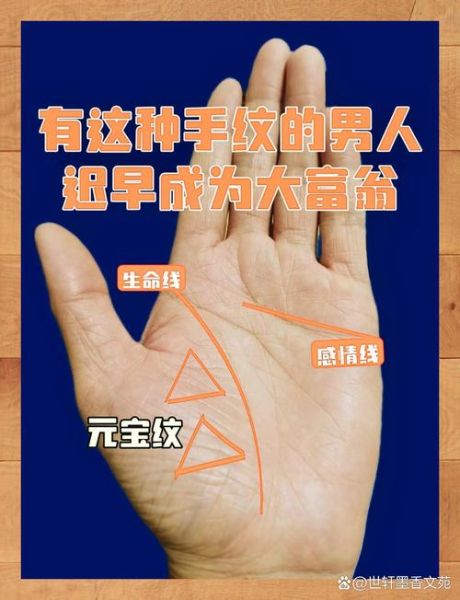 男人财运好手相有哪些特征_男人财运线怎么看图解