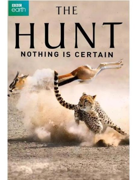 梦到捕猎是什么意思_梦到捕猎预示着什么