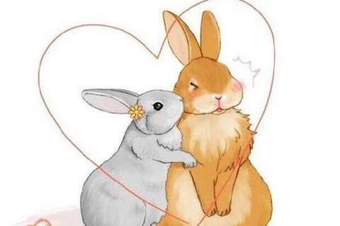 属兔属猴合不合_兔猴配对财运如何