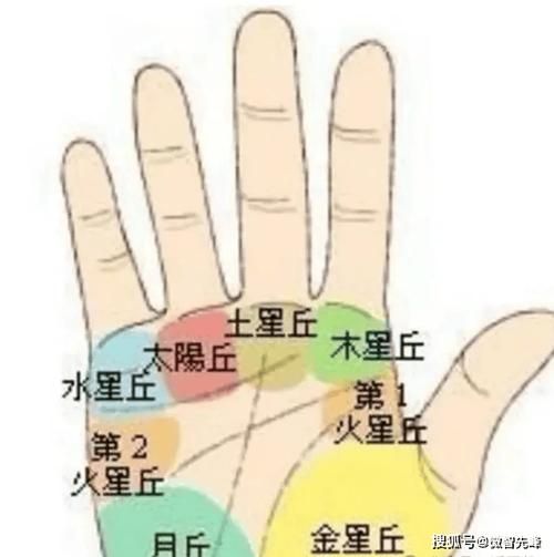 拇指看财运怎么看_拇指形状决定财富吗