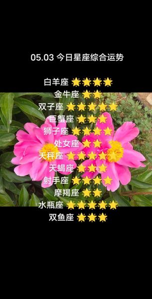 白羊座20号运势如何_白羊座今天适合做什么