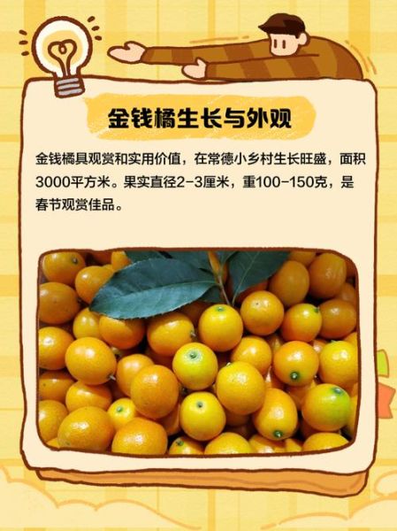 橘色钱包招财吗_橘色钱包风水禁忌