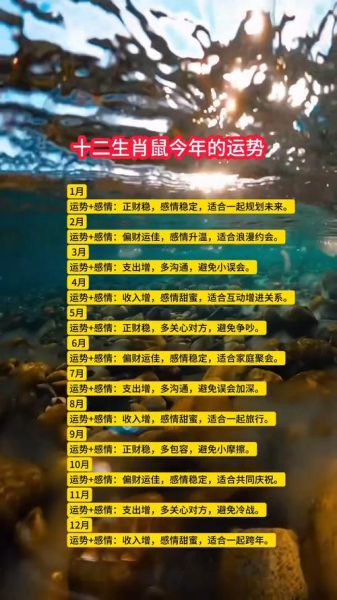 2020属鼠的今年多大_2020属鼠的运势如何